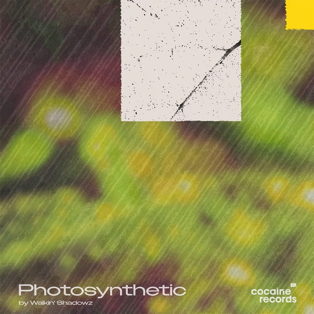 Photosynthetic | FREE DL