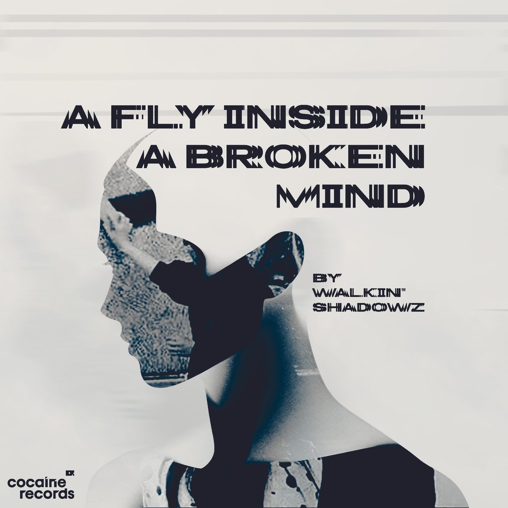 A Fly Inside a Broken Mind